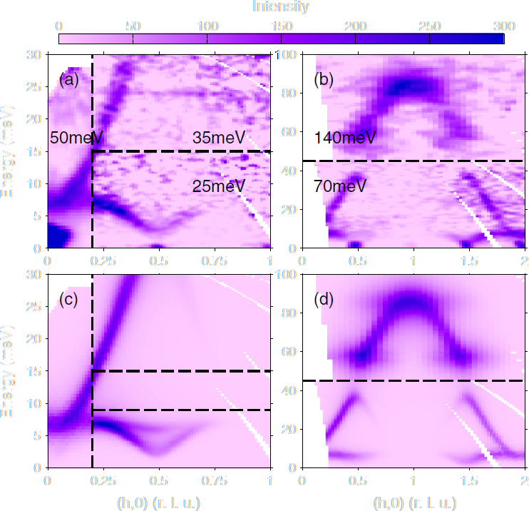 Fig 2 of Johnstone et al.